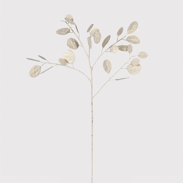 Cream Honesty Spray