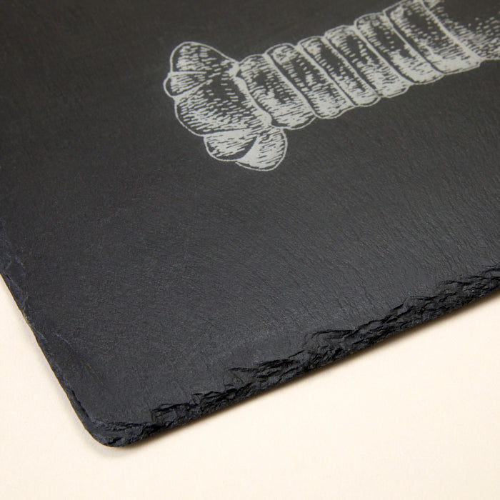 Slate table runner - Lobster