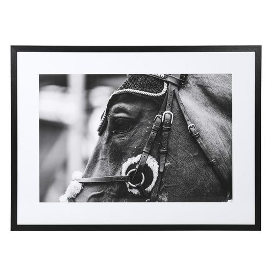 ‘The wait’ Horse print framed