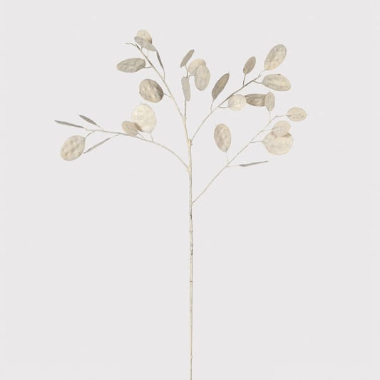 Cream Honesty Spray