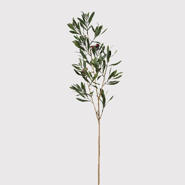 Natural Olive Spray