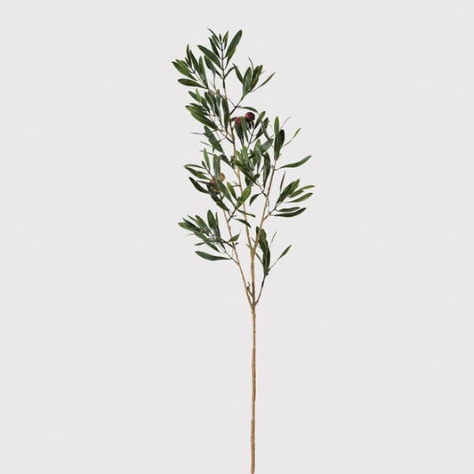 Natural Olive Spray